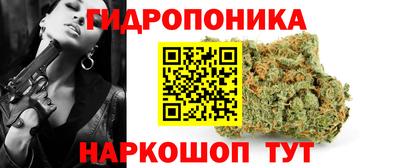 шишки Шебекино