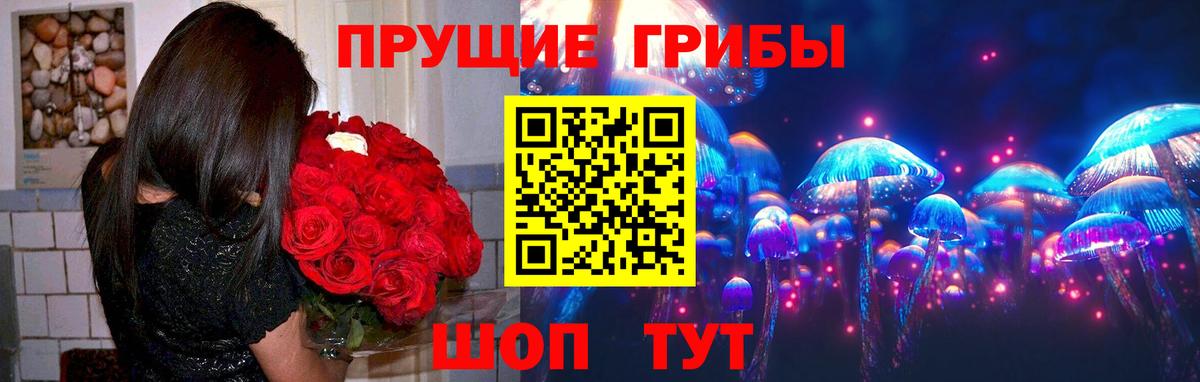 Галлюциногенные грибы GOLDEN TEACHER  Вход с VPN  Галлюциногенные грибы GOLDEN TEACHER  Сальск 